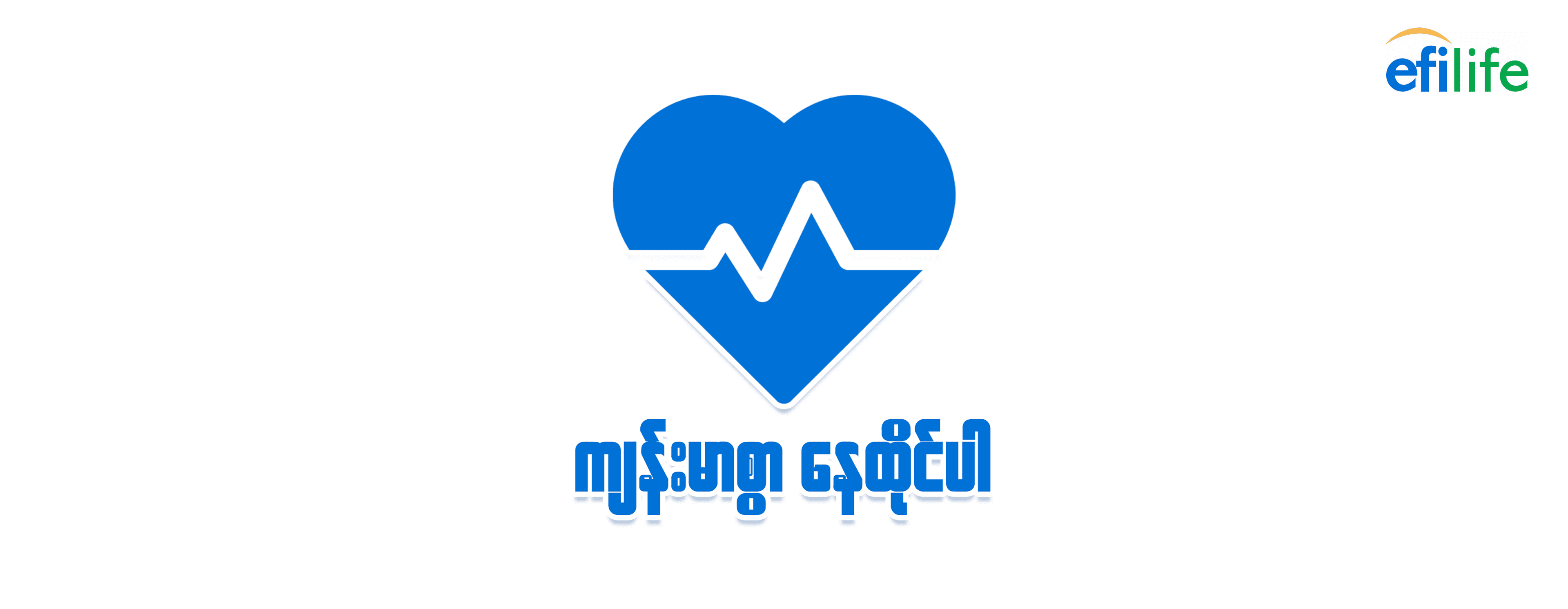 Excellent Fortune Insurance
